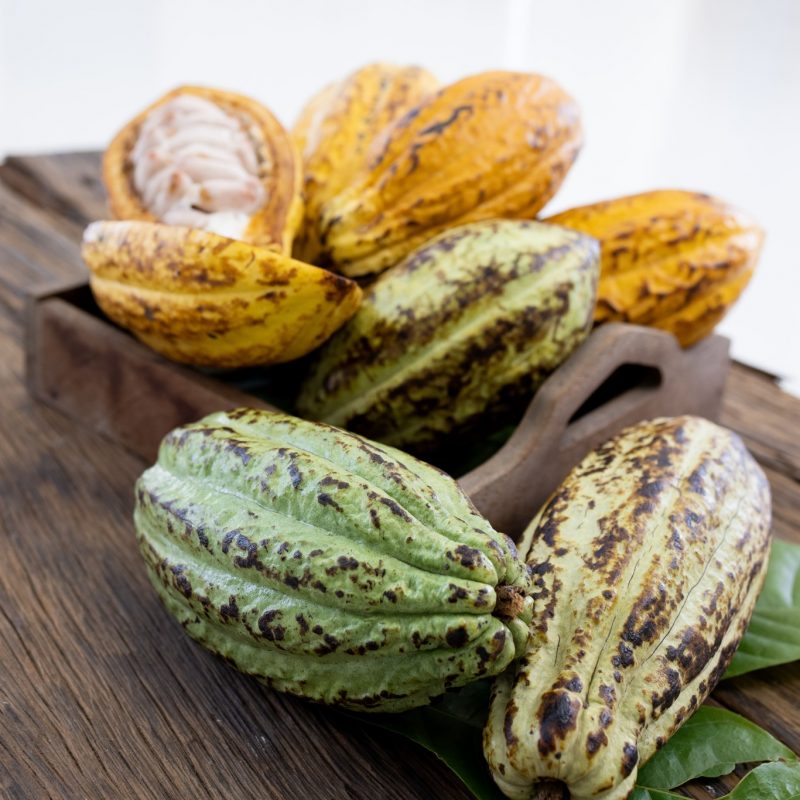 Boton Nuestras Creencias